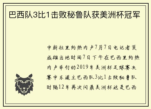 巴西队3比1击败秘鲁队获美洲杯冠军